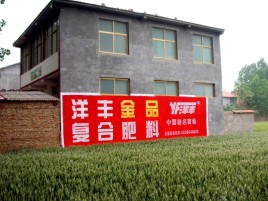 镇沅如何让墙体广告展现最大化效果