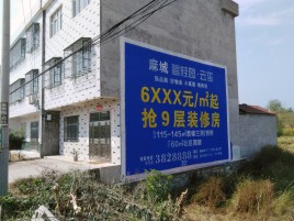 镇沅墙体广告质量分析