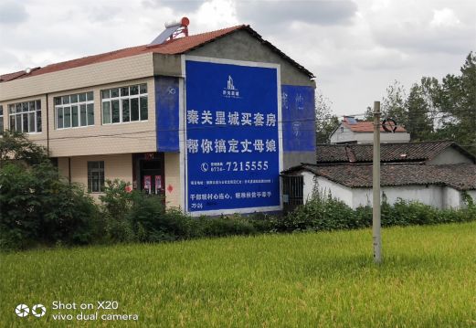 镇沅决定墙体广告价格的因素有哪些？