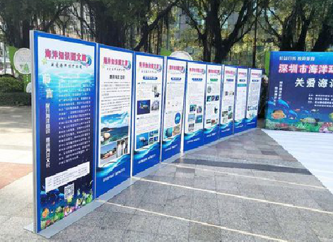 镇沅KT板的种类和知识。